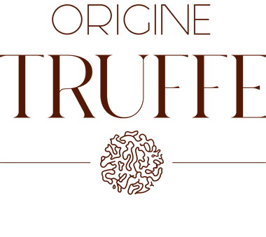 ORIGINE TRUFFE